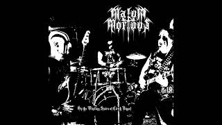 Elficidium (Nazgûl cover) [Live]
