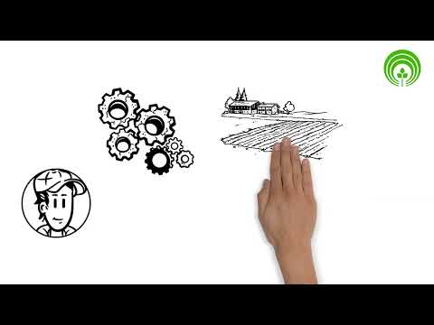 Neuer Beitragsmaßstab der LKK: Das Standardeinkommen