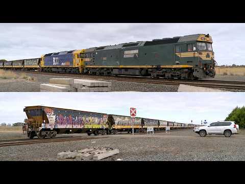 7731V Pacific National Grain Train With G523 & BL33 Arrives At Gheringhap (6/6/2024) - PoathTV