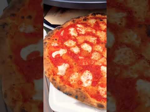 pizza maker.Crafting the Perfect Piazza. Secrets of a Professional Pizza Maker. Gourmet Pies