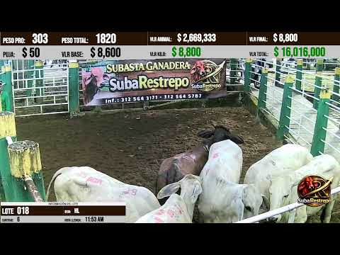 Subastas Ganaderas Restrepo Meta - 1-10-2026
