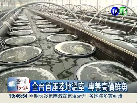 耗時三年! 7千坪的陸地溫室