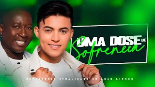 SÓ AS MELHORES! ASAS LIVRES 2025 UMA DOSE DE SOFRÊNCIA CD ATUALIZADO 2026 - PRA PAREDÃO ÁUDIO 100%