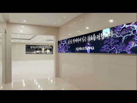 VIP형(헌화아트+1단 근조화환)