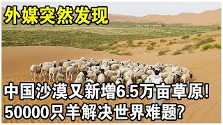 Re: [問卦] 綠能到底是 破壞地球還是保護地球阿=.=