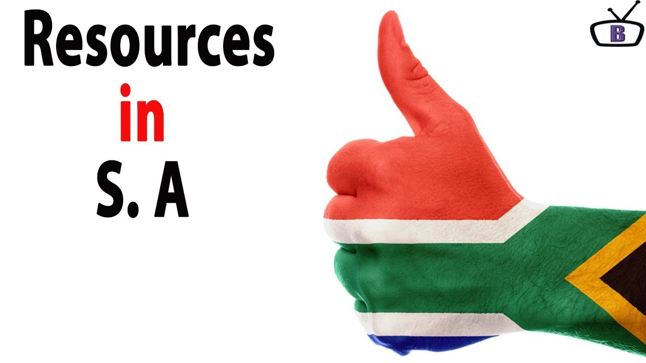 What are 4 major natural resources in Africa?