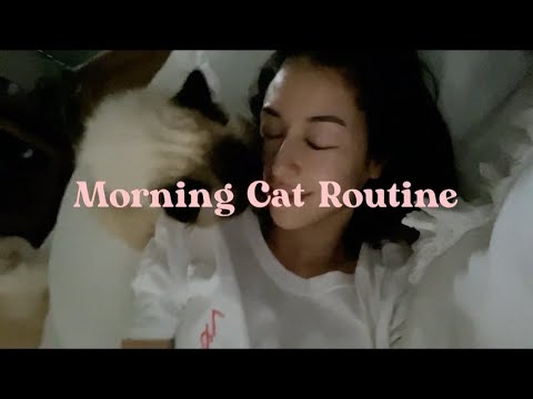 Beni’s Morning Cat Routine