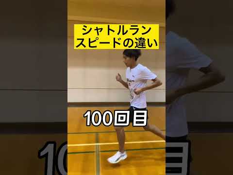 アフォンダトーレについて詳しく解説