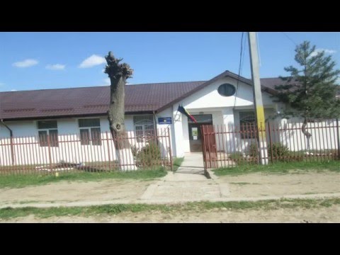 Activitate Primaria Comunei Rediu, jud. Iasi, 2004-2016