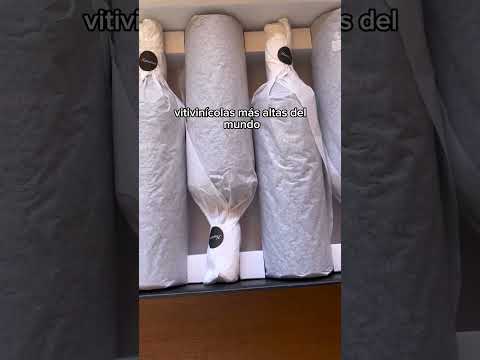 🍷 Humanao Gran Reserva 2020 – ¡Nuevamente disponible!