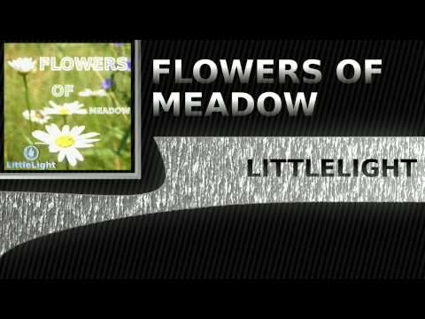 LittleLight - Flowers Of Meadow