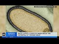 Scientists warn about "zombie" virus