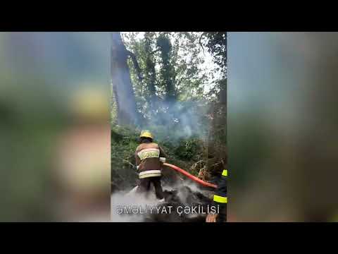 FHN Mətbuat xidmətinin məlumatı (video)