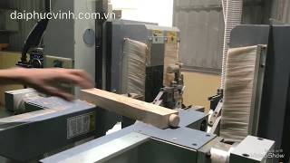 Máy phay mộng dương cnc 2 đầu Đài Loan YRT-D200