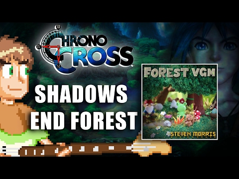 Chrono Cross : Shadow's End Forest Ambient Acoustic cover by Steven Morris