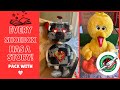 Operation Christmas Child 2 Boxes With 2 Different Themes 2024