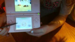How to get free trainer points on nintendogs