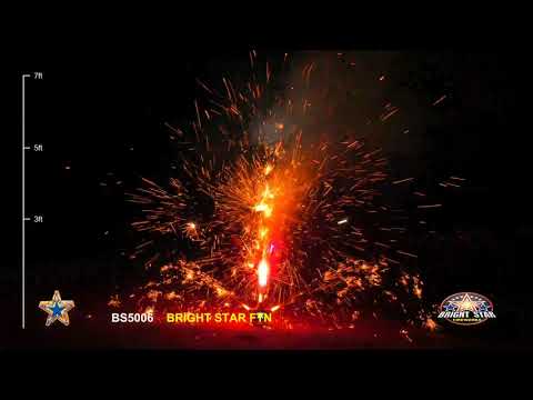 BS5006 Bright Star Ftn - BRIGHT STAR 2020 NEW