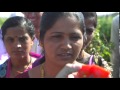 Unilever Local Sustainable Tomato Sourcing Helps Smallholder Farmers And Grows The Brand