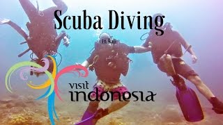 This is Insane! Scuba Diving in Bali!