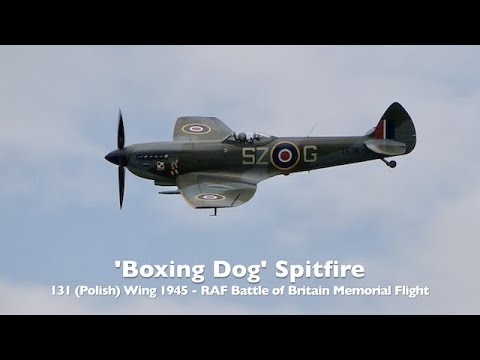 'Boxing Dog' Spitfire XVI, TE311 - RAF Battle of Britain Memorial Flight