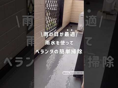 雨が降った後はプールを掃除したほうがいいですか?全てをご説明させていただきます！  庭園