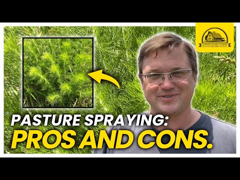 The Economics of Spraying Our Pastures with Herbicide