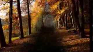 Chandelier  -  Cat's Worst Grave