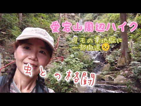 [Caminhada em Satoyama na província de Ibaraki ③ Ao redor do Monte Atago] É novembro, mas é verão! Lutando com insetos 😖 Os locais recomendados são Narutaki e Omotesan ✨ (Santuário Atago - Narutaki - Plataforma de Observação de Minamiyama - Omotesan)
