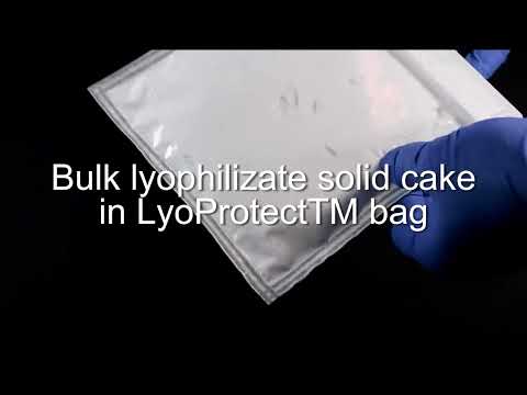 Bulk lyophilization: powder or solid cake in bulk lyophilization bag