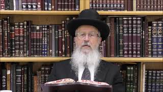 הגאון הרב אברהם יוסף האם מותר לחלק את בדיקת חמץ בין כמה אנשים והאם מברכים שהחיינו על הברכה אדר תשפ"ו (רבנים שונים) - התמונה מוצגת ישירות מתוך אתר האינטרנט יוטיוב. זכויות היוצרים בתמונה שייכות ליוצרה. קישור קרדיט למקור התוכן נמצא בתוך דף הסרטון