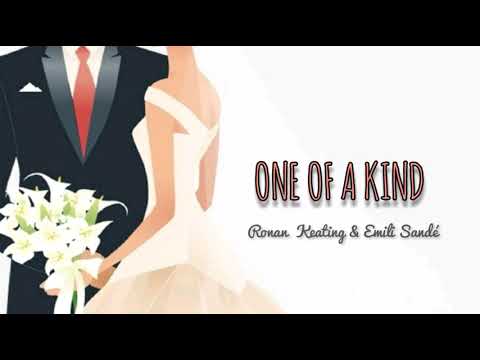 [ LYRICS + VIETSUB ] One Of A Kind - Ronan Keating ft. Emeli Sandé