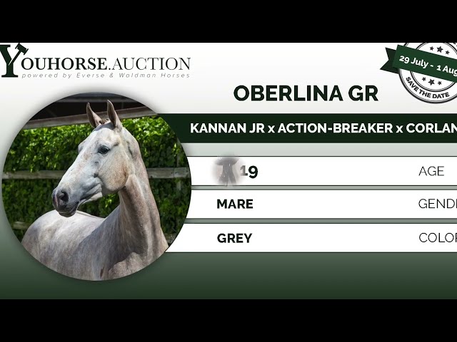 Oberlina under the saddle