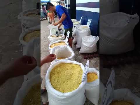 mercado, peixe, farinha, caranguejo, sururu e muito mais. Augusto Corrêa Pará