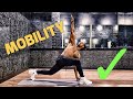 TEN ESSENTIAL MOVEMENTS FOR MOBILITY / FLEXIBILITY