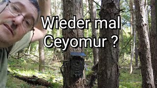 Warum ich die CY75 nicht mehr haben will !
