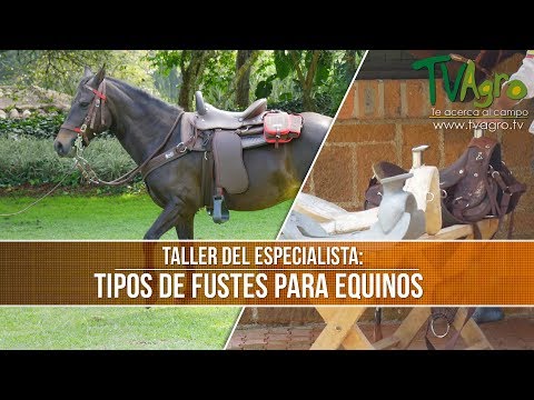 , title : 'El Taller del Especialista: Tipos de Fustes para Equinos- TvAgro por Juan Gonzalo Angel'