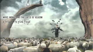 Arnold Layne performed by The Far Side