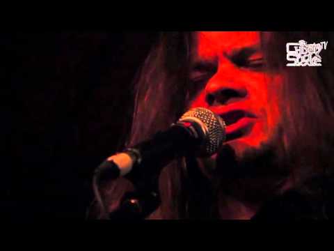 Psilocybe Larvae - Shining Shambhala