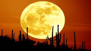 Tex La Homa - Orange Moon