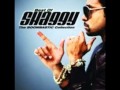 DJ RUFFRYDERS Shaggy - Mr. Boombastic REMIX ...