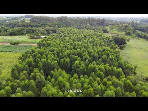 ÁREA DE TERRAS, 56571M² ÁREA TOTAL para venda EM CAMPESTRE