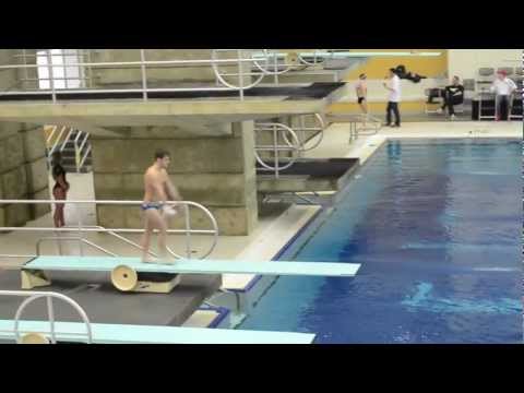 1m Finals Diving Zones 2013