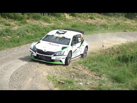 CLIP Rally 4 Regioni 2019 Brega - Zanini by Ferrario