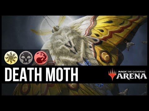 KROXA is ALL, KROXA is INFINITY!! Historic Solemnity Broodmoth Combo Deck!!