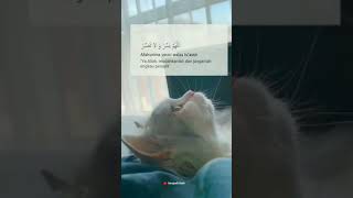 Download lagu Story islami wa 30 detik ||Doa kemudahan urusan || quotes islami || status wa #shorts #storywa mp3 Download lagu Story islami wa 30 detik ||Doa kemudahan urusan || quotes islami || status wa #shorts #storywa mp3