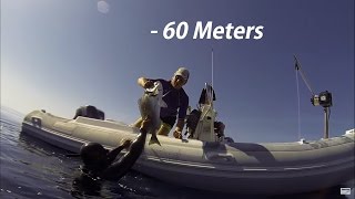 EXTREME 60 M - Spearfishing Deepest Video - Gilt Heads in the Wreck 200ft
