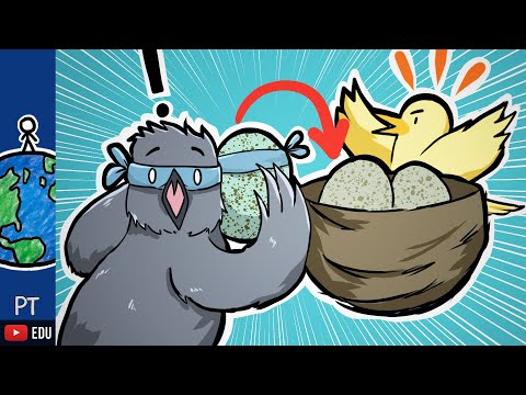 Vale a pena trapacear? | Minuto da Terra