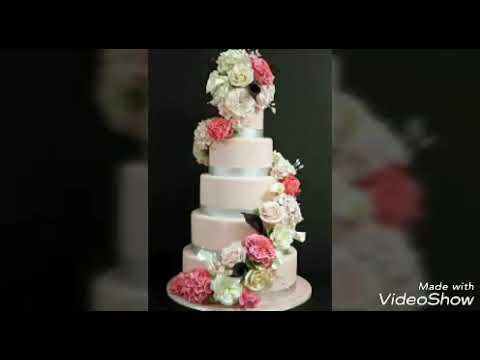 Happy birthday wishes