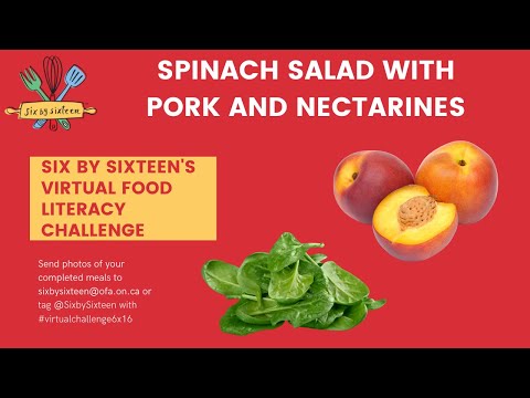 Six by Sixteen's Spinach Salad with Pork & Nectarines Recipe